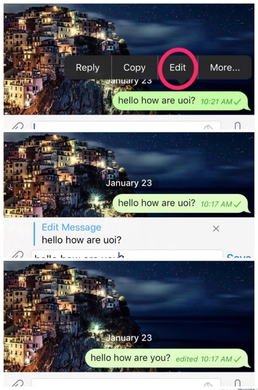 Telegram官网支持加密货币打赏：钱包绑定教程