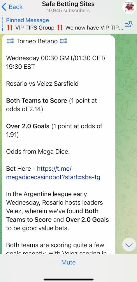 Telegram官网支持中文吗？界面语言设置指南