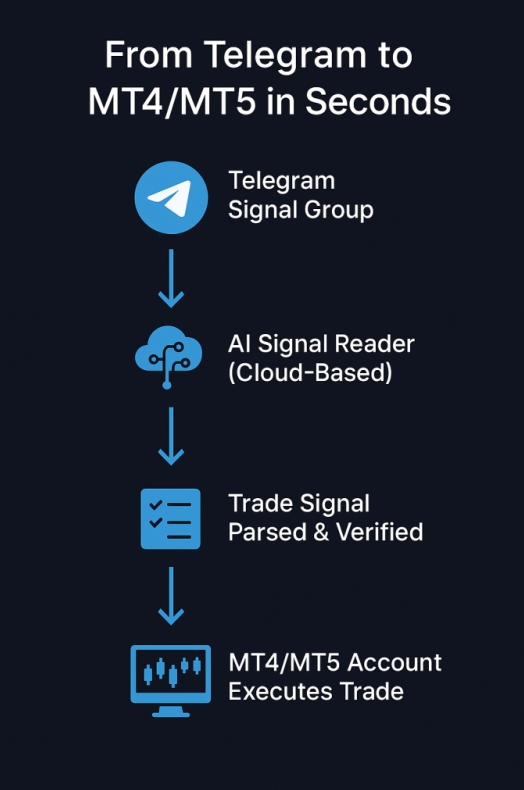 Telegram中文版中文客服群组：志愿者在线支持