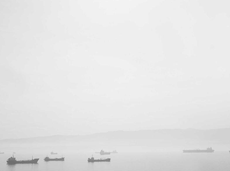 Telegram下载安装全流程:从入门到精通的新手教程